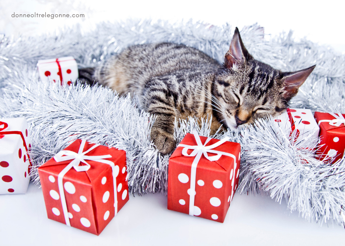 10 regali per chi ha un gatto